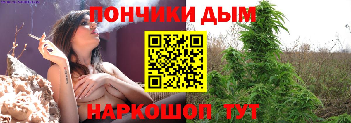 Бошки марихуана SATIVA & INDICA  Марихуана планчик  Вход с VPN  Шишки марихуана план  Сыктывкар 